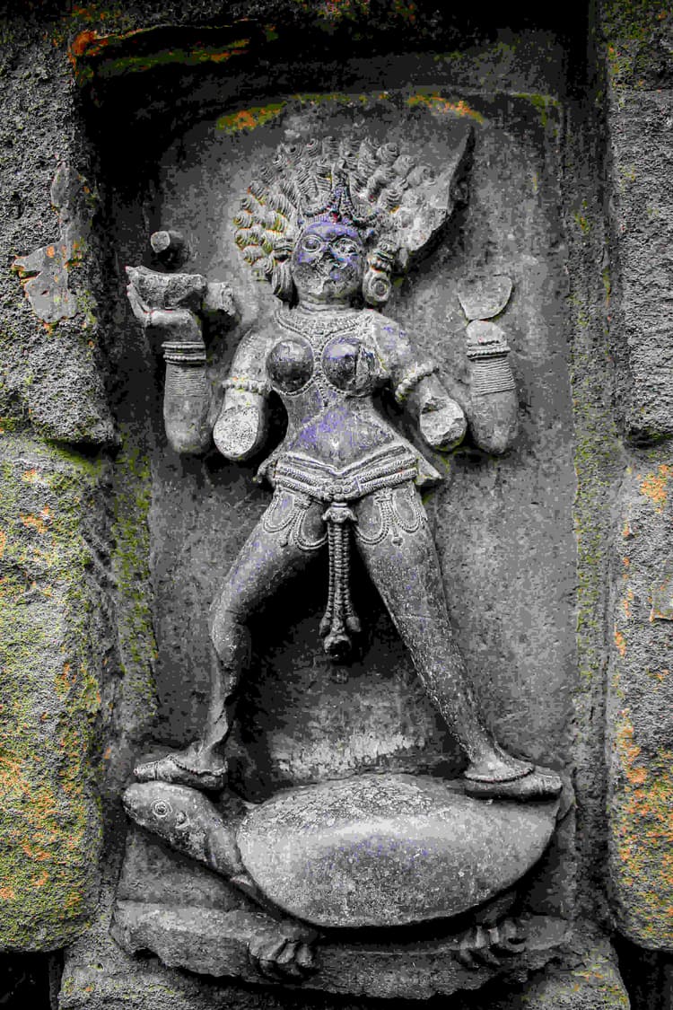 Yamuna Yogini